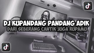 Download lagu DJ KUPANDANG PANDANG ADIK DARI SEBERANG CANTIK JUGA RUPAMU VIRAL TIKTOK SLOW FULL SONG MAMAN FVNDY mp3