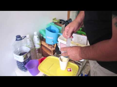 Manuel Alves ( Webdocumentários Aves, Paixão Europeia)