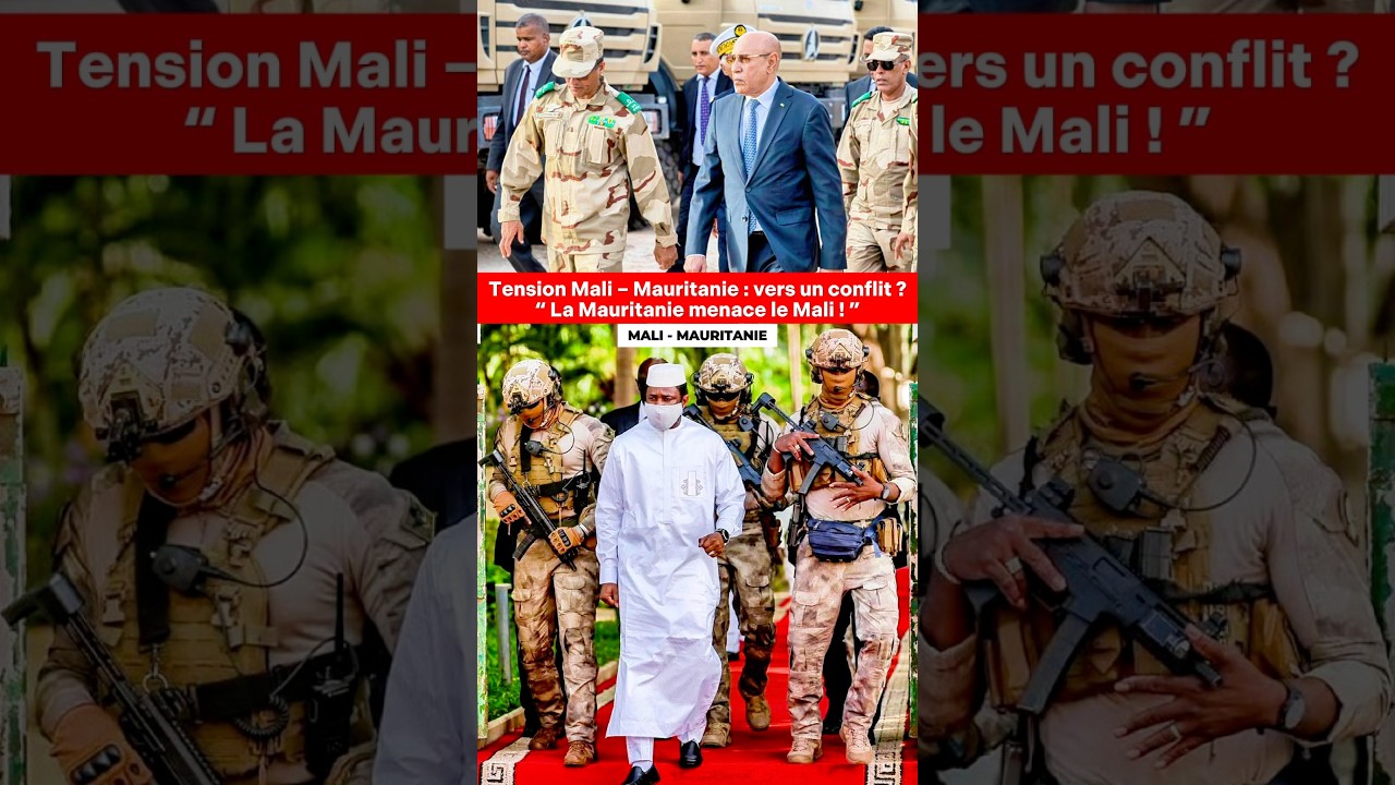 Alt Text: A detailed diagram illustrating the step-by-step process of photosynthesis, showing sunlight, water, and carbon ...