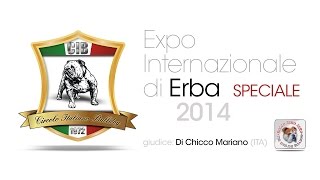 preview picture of video '2014 EXPO INTERNAZIONALE ERBA SPECIALE'