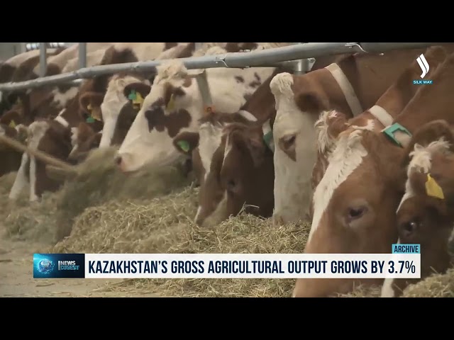 Kazakistan’da tarımsal brüt üretim hacmi %3,7 oranında arttı