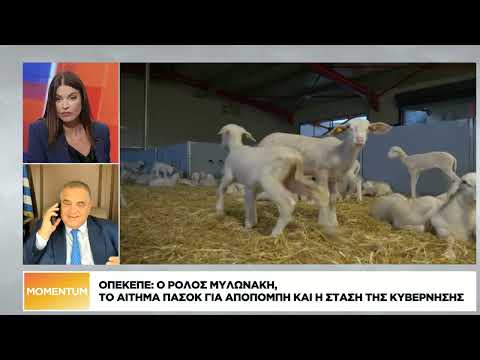 Ο Β. Σπανάκης στη «Ν» για το νεό νομοσχέδιο, το σκάνδαλο ΟΠΕΚΕΠΕ και τα Τέμπη
