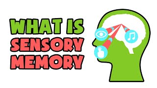 What is Sensory Memory | Explained in 2 min