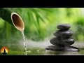 Zen Meditation Music, Reiki Music, Chakra, Relaxing Music, Music for Stress Relief, Zen ☯3434