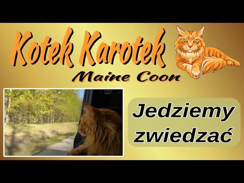 Jedziemy...