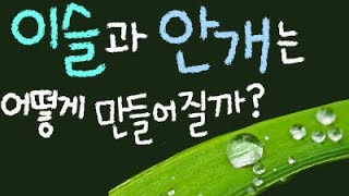 이슬과 안개는 어떻게 만들어질까요? ■주요개념: 응결, 이슬, 안개 [초등 과학 5학년 2학기 3단원 3차시 ]