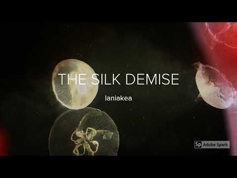 The Silk Demise: Laniakea