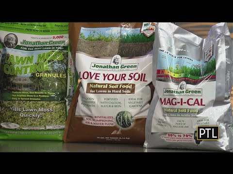 Fix It Friday With Andy Amrhein: Lawn Care