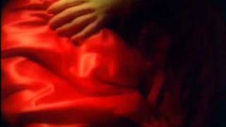 Dove - Don't Dream It's Over.flv
