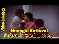 Neengal Kettavai Tamil Movie Video Songs Juke Box Balu Mahendra Ilayaraja Dream Cinemas