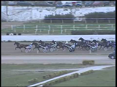 Trotto 30/11/2014 - 4° corsa