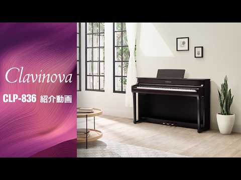 電子ピアノ Clavinova（クラビノーバ） ブラックウッド調 CLP-836B [88
