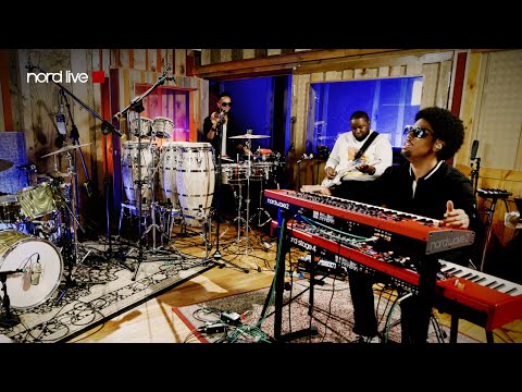 NORD LIVE: Matthew Whitaker - Stop Fighting