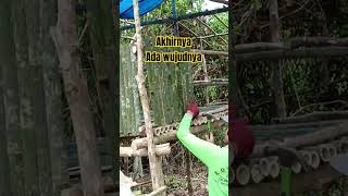 Download lagu Man jadda Wajada #membangunpondok #kisahgurupedalaman mp3 Download lagu Man jadda Wajada #membangunpondok #kisahgurupedalaman mp3