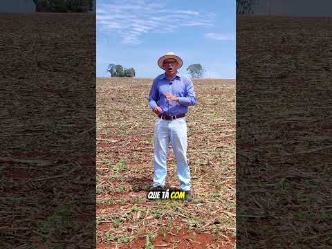 curso de drone agrícola em Jatai-Goias #jatai #marathoncursos#drones#soja