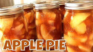 Canning Apple Pie Filling 2020 With Linda