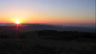 The Orange Peels: Seaside Holiday