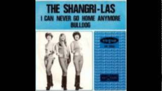 Bull Dog-Shangri Las-'65-Red Bird 10 043.wmv