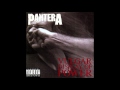 Pantera - Hollow (Audio)