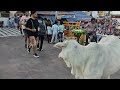 Har Ki Paudi Haridwar Jaygangamaiya Ganga Maiya Haridwar Jaygangamaiya Ramramji Jayshreeram Jay