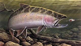 Fly Fishing Simulator HD Kasilof River, AK 1/6 Sites [Powerful Steelhead and Salmon are hitting!]