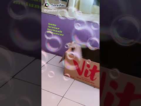 love avatar snak video