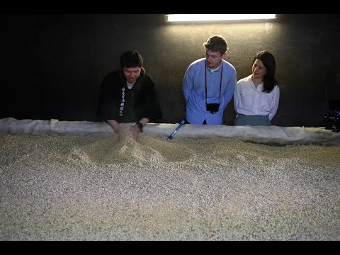 Experience the Culture of Sake and Soy Sauce Brewing 【Tokushima 】