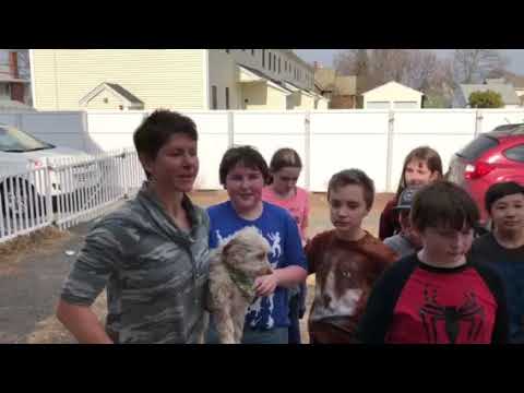 Promotional video thumbnail 5 for Michael Wald / Comedy Magic