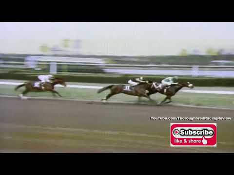 1992 FLORIDA DERBY - MC HAMMER DONE IN BY TECHNOLOGY