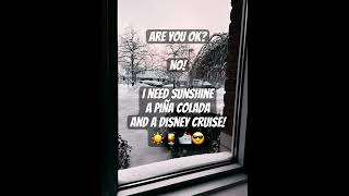 Me staring out the window, waiting for my Disney cruise era and a beach day!