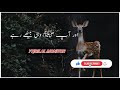 Story When The Deer Talking To Prophet Muhammadﷺ Maulana Tariq Jameel Short