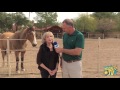 Chris Interviews PACC 911