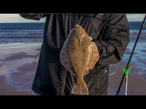 Beach fishing for Flounder | Sea Fishing UK
