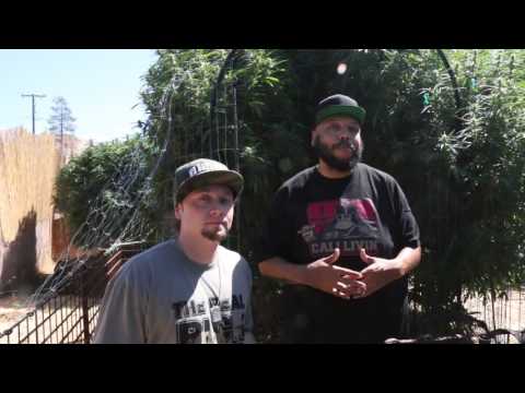 SHES ON FIRE ft. Potluck LIVE IN THE GARDEN SEASN 2 (The Making of DVD)