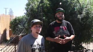 SHES ON FIRE ft. Potluck LIVE IN THE GARDEN SEASN 2 (The Making of DVD)