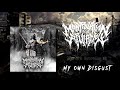 Manipulation Of The Population Anguish Full EP 2019 Slamming Deathcore Beatdown