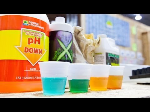 A Beginners Guide: Hydroponic Nutrients