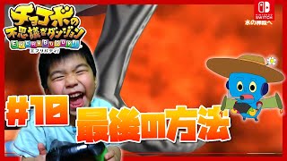 チョコボの不思議なダンジョンエブリバディ#10　最後の方法