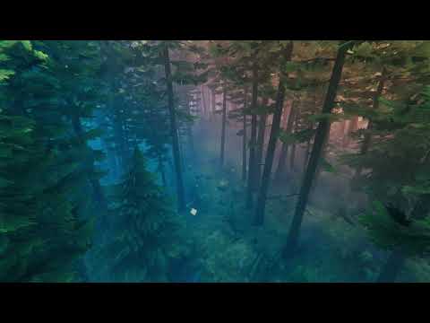 Valheim Black Forest Music - 1 Hour Loop