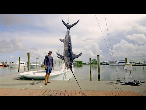 Catching Swordfish in Louisiana