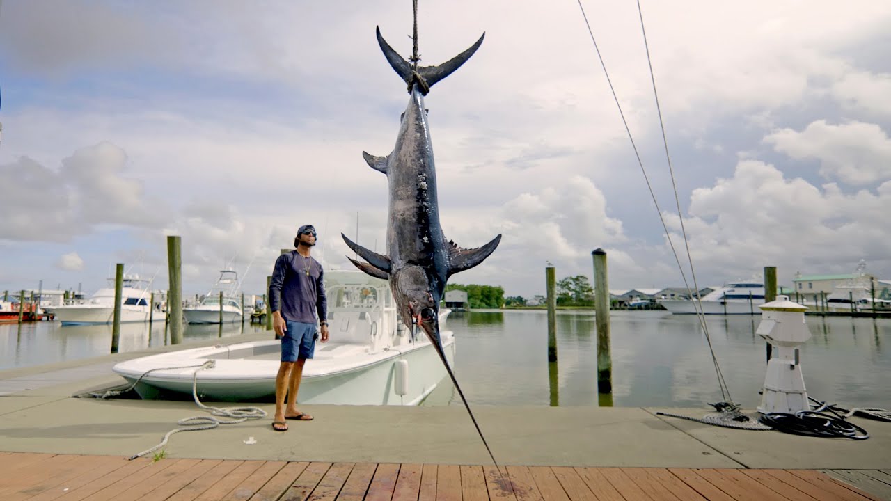 Catching Swordfish in Louisiana