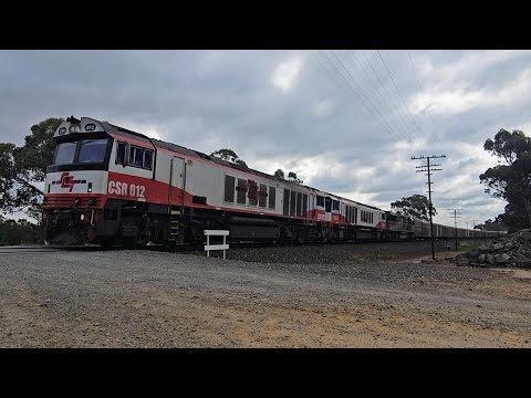 2PM9 SCT up "Dark Ghost" (CSR012, CSR010, SCT004), Forrestfield to Laverton, 1518, 25/9/25, Wail VIC