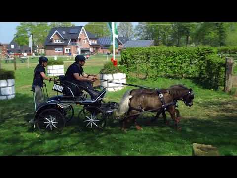 Fahrturnier Wettringen 22.4.2018