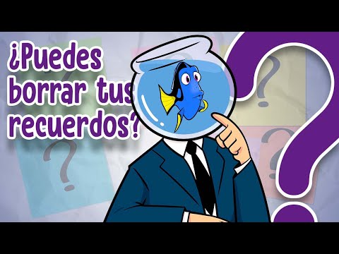 ¿Cómo recordamos y olvidamos?