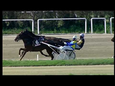 Napoli Trotto 28/02/2021 - 2ª corsa