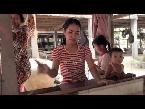 The Unpaved Silk Road - Documentary