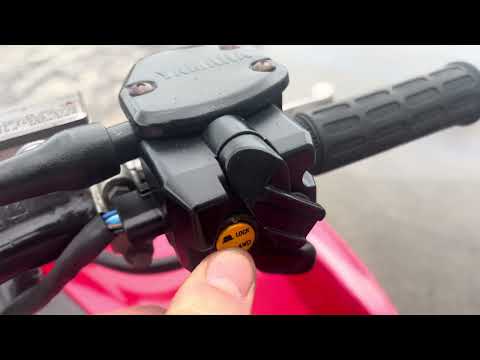 2015 Yamaha Grizzly 450 - Image 2