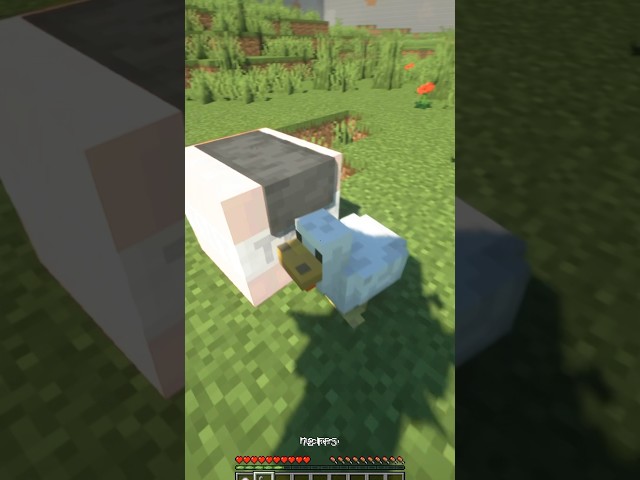 Vídeo relacionado con Minecraft 2025. Guía no oficial: trucos, secretos y construcciones