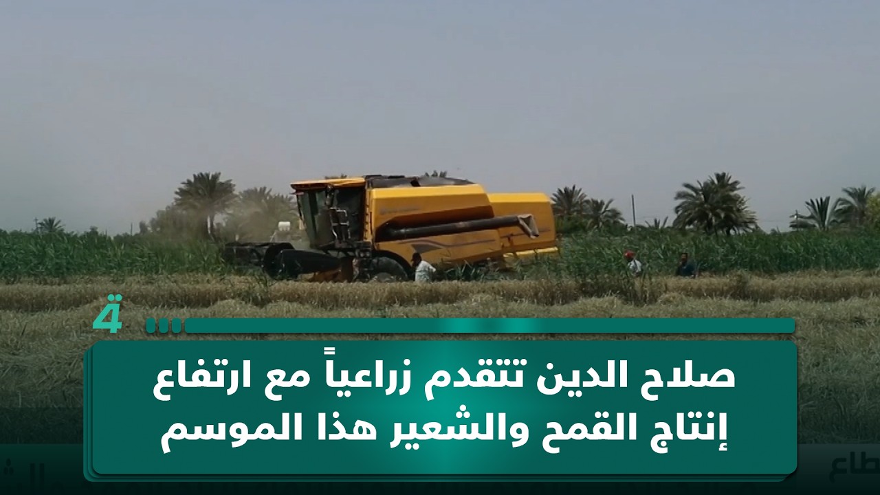فيديو | صلاح الدين تتقدم زراعياً مع ارتفاع إنتاج القمح والشعير هذا الموسم