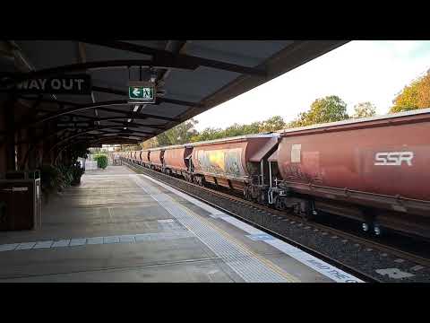 Empty SSR Grain Train through Gunnedah destination Emerald Hill 10/04/25
